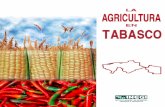 La agricultura en Tabasco - …internet.contenidos.inegi.org.mx/contenidos/productos/prod_serv/... · Instituto Nacional de Estadística, Geografía e Informática ... EN LA CIUDAD