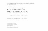 FISIOLOGÍA VETERINARIA - …ecaths1.s3.amazonaws.com/fisiologiaveterinaria2014/1096548669... · llamada prohormona que se libera en la luz del RER en vesículas que se trasladan