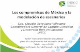 Presentación de PowerPoint - senado.gob.mx · Taller “Descarbonización en México ... instrumentos de manejo de riesgo. ... 3, CFCs, HFC, PFC, SF 6, VOCs, BC, etc.