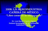 2008: LA AGROINDUSTRIA CAÑERA DE MÉXICOarchivos.diputados.gob.mx/Comisiones/Ordinarias/desarrollo_rural/... · Otros granos (sorgo y ceb) Chile verde Frijoles, Chich., Lentejas