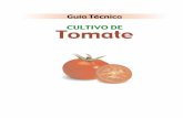 CULTIVO DE Tomate - cicloperfecto.cl fileseguridad alimentaria de la población, disminuir las importaciones y promover el desarrollo de procesos de innovación tecnológicas que ...