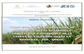 SECRETARÍA DE AGRICULTURA Y GANADERÍA …sag-dev-new.premperhn.com/assets/Uploads/...arroz.pdf · de la Cadena de Valor del Arroz en Honduras - PEP-Arroz -” ... certificada, el