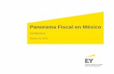 Panorama Fiscal en México - eyboletin.com.mx€¦ · Análisis del entorno tributario y aduanero ... üAdministrar el riesgo ... § El control interno de los saldos a reportar en