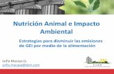 Nutrición Animal e Impacto Ambiental - ciabcr.com³n Animal 2016/fabricacionyalimentos... · Nutrición Animal e Impacto Ambiental Estrategias para disminuir las emisiones de GEI