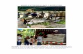 INFORME DE ACTIVIDADES DEL IMA DEL MES DE …ima.gob.pa/wp-content/uploads/2015/09/Informe-de-Actividades-del... · provincia de Coclé, el Instituto de Mercadeo Agropecuario (IMA)