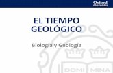 EL TIEMPO GEOLÓGICO - ieslasencinas.orgieslasencinas.org/wp-content/uploads/2017/10/06_presentacion... · : en el Mesozoico se produce una gran diversificación de la fauna marina