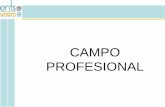 CAMPO PROFESIONAL - Escuela Nacional de Trabajo …€¦ · Definición de campo profesional. •Es el estudio de la inserción de los egresados al campo laboral. ... 3.-Diseño del