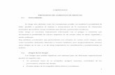 CAPITULO II 2. PRINCIPIOS DE GERENCIA DE RIESGOS 2…catarina.udlap.mx/.../documentos/lic/carpinteyro_c_a/capitulo2.pdf · CAPITULO II 2. PRINCIPIOS DE ... • Malos cálculos •