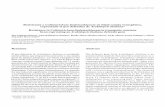 Resistencia a Colletotrichum lindemuthianum en frijol ...scielo.unam.mx/pdf/remexca/v4n7/v4n7a5.pdf · Revista Mexicana de Ciencias Agrícolas Vol.4 Núm.7 28 de septiembre - 11 de