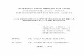 LOS PRINCIPIOS CONSTITUCIONALES DE LA ADMINISTRACIÓN DE ...dspace.uazuay.edu.ec/bitstream/datos/6639/1/07608.pdf · constitucionales de la administración de justicia, ... competencia