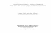 PROGRAMA DE MANTENIMIENTO PREVENTIVO DE …biblioteca.unitecnologica.edu.co/notas/tesis/0032132.pdf · Monografía presentada como requisito para el Minor en Mantenimiento Industrial
