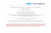 TELÉFONOS DE MÉXICO, S.A.B. DE C.V. (TELMEX)downloads.telmex.com/pdf/reporteBMV2010.pdf · 2014-02-01 · ADQUISICIÓN DE ACCIONES POR EL EMISOR Y COMPRADORES AFILIADOS ... Comentarios