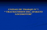UNIDAD DE TRABAJO Nº 7. - IES Julio Rodrigueziesjuliorodriguez.es/wordpress/wp-content/uploads/2011/... · 2015-06-10 · en los futbolistas en los maleolos por el continuo ... cuádriceps