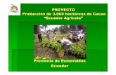 Provincia de Esmeraldas Ecuador - lateinamerikaverein.decacao.pdf · 2.100 dólares del inversionista para la producción de tres hectáreas, valor que lo devolverá con la producción