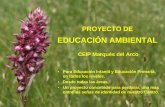 Proyecto de Educación Ambientalceipmarquesdelarco.centros.educa.jcyl.es/sitio/upload/Proyecto_de... · ajardinamiento de espacios, jardín botánico de especies autóctonas… EL