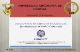 UNIVERSIDAD AUTÓNOMA DE SINALOA …web.uas.edu.mx/galerias/archivos/1525716309.pdfmédico-biológicos relacionados con enfermedades adquiridas y genéticas, medicina ... Carta de