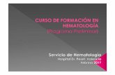 Dr. Javier de la Rubia - Hosp. Dr. Peset, Valenciaa_v2...16:30h ‐ 16:40h Bienvenida y presentación del Curso de Formación en Hematología. Dr. Javier de la Rubia Dra. Mª José