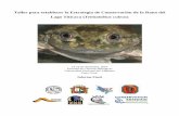 Taller para establecer la Estrategia de Conservación de … frog 2011... · -Capacitación de usuarios de totorales para su mejor manejo -Implementar estrategias sobre educación