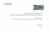 Estudio de Factibilidad de la Cuenca Forestal … de... · Informe Fase 2 “Escenarios ... • Modelo del flujo de madera y requerimientos de intensificación ... pronunciadas, suelos