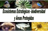 Sobreexplotación Especies introducidas Contaminación ... · Diversidad Biológica ratificado por Colombia mediante la ley 165 de ... de la Amazonía. Más del 23% de este bioma