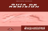 Guías de Remisión - Revista Actualidad Empresarialaempresarial.com/web/libros_virtuales/lv2012_guia-remision/lv2012... · ¿Cuáles son los requisitos para la emisión de las ...