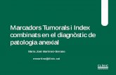 Marcadors Tumorals i Index combinats en el diagnòstic … · apendicitis, TBC peritoneal, pancreatitis, TEP, pneumònia, FQ, Fallo ... Tipo_Histología: CA125. HE4: ROMA. ROMA *