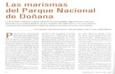 las marismas de Parque aClona de Doñana - …digital.csic.es/bitstream/10261/56200/3/Las marismas del Parque... · las marismas de Parque • de Doñana aClona La diversidad y elevada