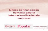 Líneas de financiación bancaria para la ... · Los medios de pago en el comercio internacional TRANSFERENCIA / ORDEN DE PAGO ... transacciones internacionales y permite la apertura