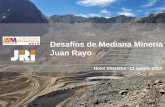 Desaf­os de Mediana Miner­a Juan Rayo - .aprovechar las econom­as de escala para rentabilizar