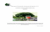 Red para el Desarrollo Sostenible de México, A. C. · Informe Etapas II, III, IV y V Estudio Cadena agroalimentaria del mango / 3 ... Cuadro 1. Contenido nutricional de la fruta