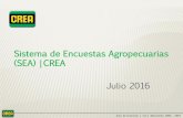 Sistema de Encuestas Agropecuarias (SEA) |CREA …€¦ · En julio de 2015, esta situación ... Programa contable específico agropecuario Programa de Gestión ... Variación rinde