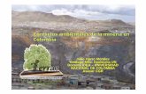 Julio Fierro Morales Geólogo MSc. Geotecnia UN … · bocatoma del acueducto de Chorro Blanco, ... se demostró también la acción del impacto ambiental ... (Informe preliminar)