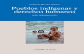 Instituto de Derechos Humanos Pueblos indígenas y derechos ... · Instituto de Derechos Humanos Pueblos indígenas y derechos humanos Los pueblos indígenas son colectivos que han