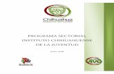 PROGRAMA SECTORIAL INSTITUTO CHIHUAHUENSE DE LA JUVENTUD …chihuahua.gob.mx/.../indtfisc/progSER2010-2016/ProgSec_Juventud.pdf · A continuación se presentan los principales objetivos