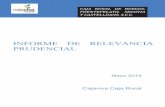 INFORME DE RELEVANCIA PRUDENCIAL - ruralvia.com · del proyecto de fusión, tuvo lugar con la inscripción en el Registro Mercantil de Segovia, el 15 de junio de 2012. De acuerdo