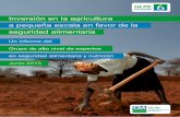 Inversión en la agricultura a pequeña escala en favor … · Seguridad Alimentaria Mundial, de sus miembros, ... y trayectorias anteriores para ... Recuadro 4 Principales enseñanzas