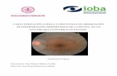 TESIS DOCTORAL Doctorando: Juan Manuel Muñoz …uvadoc.uva.es/bitstream/10324/25770/1/Tesis1293-170920.pdf · Laborando como oftalmólogo especialista en retina en el Hospital Santo