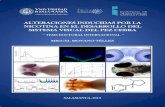 ALTERACIONES INDUCIDAS POR LA NICOTINA EN … · tesis doctoral internacional alteraciones inducidas por la nicotina en el desarrollo del sistema visual del pez cebra miguel moyano