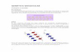 GENÈTICA MOLECULAR - BIOPILI, apunts de …biopili.weebly.com/uploads/1/0/5/9/10591821/gentica_molecular.pdf · 1 GENÈTICA MOLECULAR Conceptes a recordar Proteïnes Són maromolèules