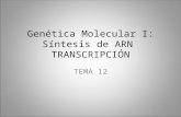Genética Molecular I: Síntesis de ARN TRANSCRIPCIÓNieshocesdelduraton.centros.educa.jcyl.es/sitio/upload/... · PPT file · Web view2011-08-30 · Genética Molecular I: Síntesis