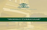 “Modelo Curricular” - Universidad de Quintana Roo · Director de la División de Ciencias Sociales y Económico Administrativas ... Director de la División de Ciencias de la