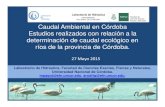 Caudal Ambiental en Córdoba Estudios realizados con ... · Establecimiento de curvas que vinculen la o las especies seleccionadas, con los datos hidráulicos, evaluando la calidad