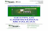 GESTPLUS CARPINTERIAS METALICAS - …demos.fersoft.es/dossieres/gestion/dossier caracteristicas gestplus... · Ordenación automática por números de asiento, fechas, números de