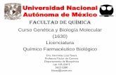 Universidad Nacional Autónoma de México - Blog de la … · Los fagos como vectores de clonación. Cromosomas artificiales de bacteria (BAC´s) Se pueden clonar hasta 350,000 nt