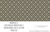 MODULO 3: GESTIÓN DE PROYECTOS Earchivosdiversos.weebly.com/.../7/...cc_gestion_publica_en_el_peru.pdf · El Proyecto surge como respuesta a una “idea”que busca la solución