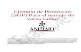 Ejemplo de Protocolos (SOP) Para el manejo de vacas … Cow SOP Spanish_ NEW.pdf · Ejemplo de Protocolos ... (SOP) para el manejo de vacas que se han caído “Down Cow”, y no