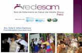 Red de Enfermería en Salud del Adulto Mayor Perú ESAM PER… · organizaciones interesadas en el desarrollo de los cuidados, la ... Consolidar Red Peruana de la Escuela de Cuidadores