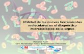 Proyecto de ciencias - Aymon · Utilidad de las nuevas herramientas moleculares en el diagnóstico microbiológico de la sepsis ... Detección e identificación de ADN en sangre/HC