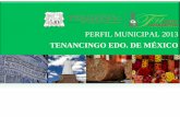 TENANCINGO EDO. DE MÉXICO - Coordinación Política · Oficina de Enlace con la Secretaria de Relaciones Exteriores “Perfil Municipal Tenancingo de Degollado 2013” ... El Estado