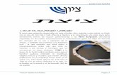 Editorial TZIÓN - s480718a634ac96c9.jimcontent.com · recuerden todos los mitzvot (mandamientos) de YHWH y los obedezcan, para ... 600 + 13 = 613 Que es el Total de Mitzvot que hay